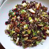 Tender wild rice harvest salad, tossed with vibrant herbs and a tangy vinaigrette, perfect for autumn.